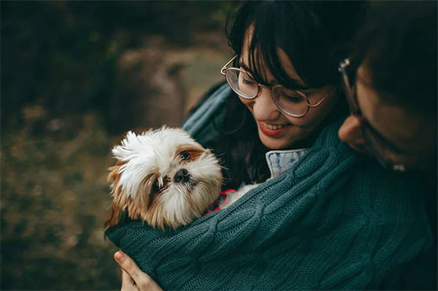 5 Pericoli del Cestino per il Tuo Animale Domestico: Come Proteggerlo